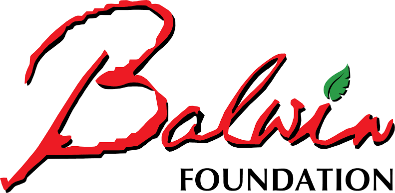 Balwin Foundation Sport Management Bursary