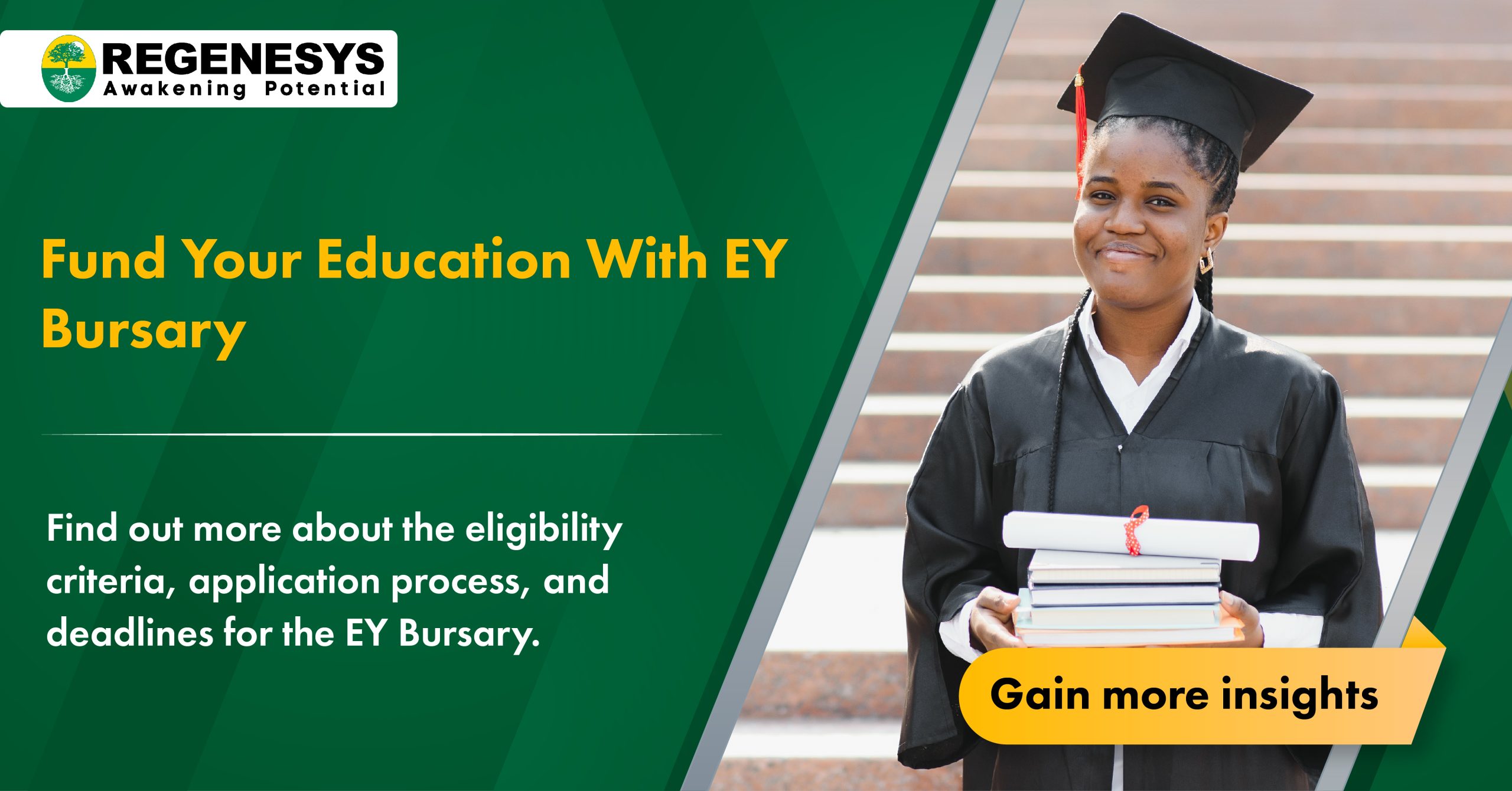 EY Bursary Programme